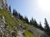 Wanderung auf den Schoberstein - Letztes Stück zum Gipfelkreuz