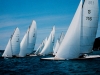 Regatta am Attersee