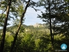 blick auf den schoberstein