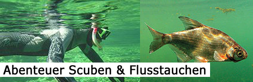 Scuben und Flusstauchen im Salzkammergut