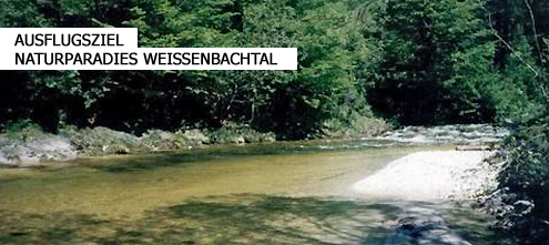 Naturparadies Weißenbachtal