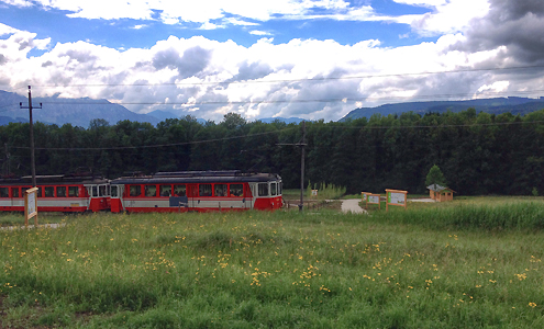 Neue Haltestelle "Bienenhof" der Lokalbahn ist bereits geplant