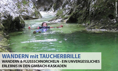 Wandern & Flussschnorcheln im Weißenbachtal